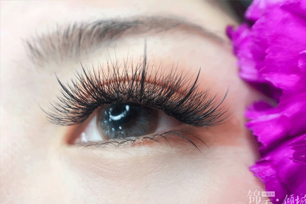 1623054597821699.gif 未標題-2.gif